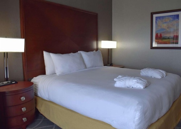 DoubleTree by Hilton Hotel Asheville - Biltmore image 27